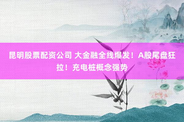 昆明股票配资公司 大金融全线爆发！A股尾盘狂拉！充电桩概念强势