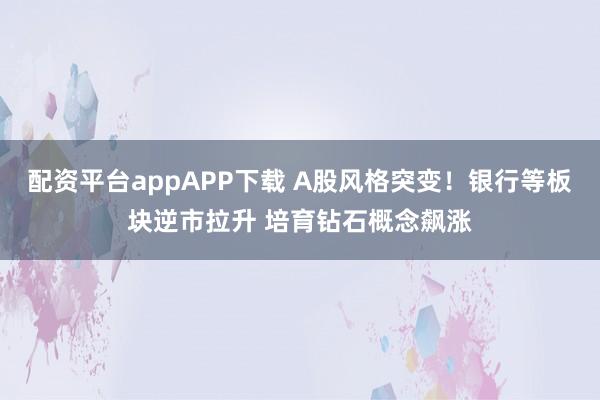 配资平台appAPP下载 A股风格突变！银行等板块逆市拉升 培育钻石概念飙涨