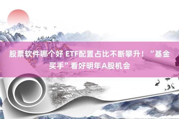 股票软件哪个好 ETF配置占比不断攀升！“基金买手”看好明年A股机会