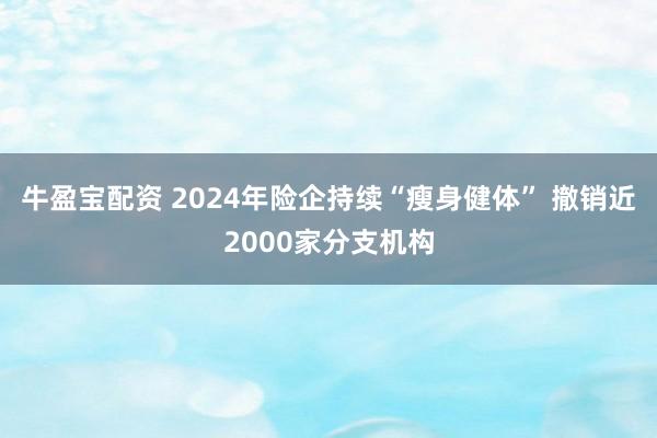 牛盈宝配资 2024年险企持续“瘦身健体” 撤销近2000家分支机构