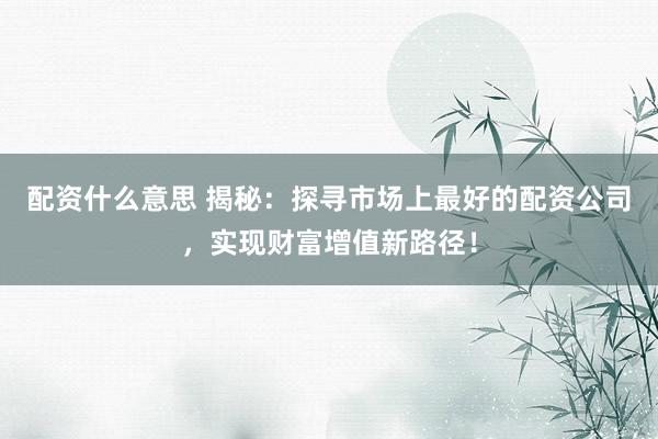 配资什么意思 揭秘：探寻市场上最好的配资公司，实现财富增值新路径！