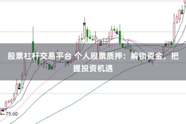 股票杠杆交易平台 个人股票质押：解锁资金，把握投资机遇