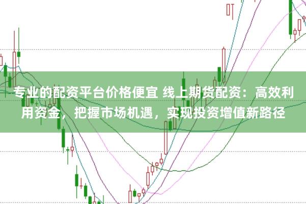 专业的配资平台价格便宜 线上期货配资：高效利用资金，把握市场机遇，实现投资增值新路径