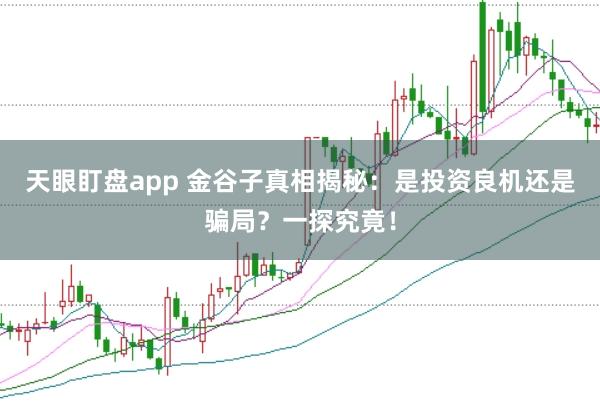 天眼盯盘app 金谷子真相揭秘：是投资良机还是骗局？一探究竟！