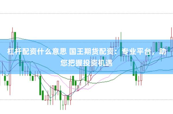 杠杆配资什么意思 国王期货配资：专业平台，助您把握投资机遇