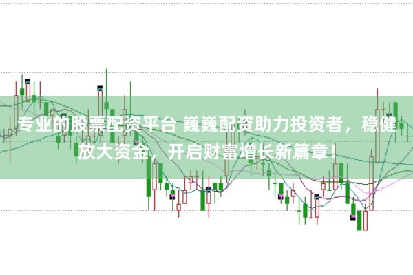 专业的股票配资平台 巍巍配资助力投资者，稳健放大资金，开启财富增长新篇章！