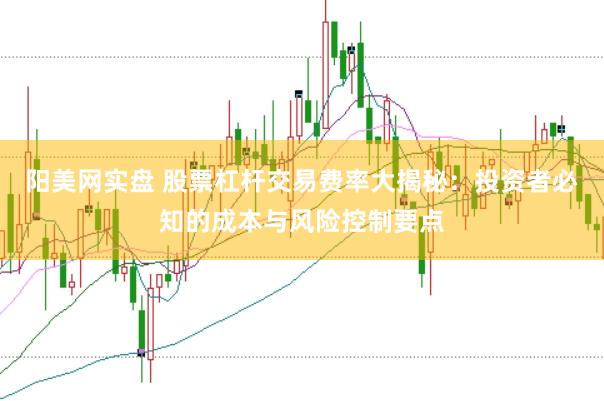 阳美网实盘 股票杠杆交易费率大揭秘：投资者必知的成本与风险控制要点