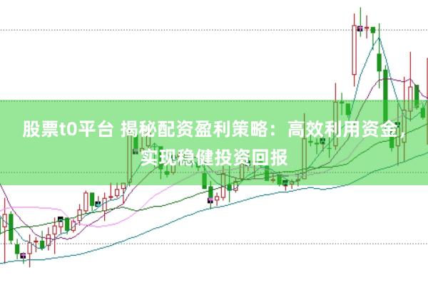股票t0平台 揭秘配资盈利策略：高效利用资金，实现稳健投资回报