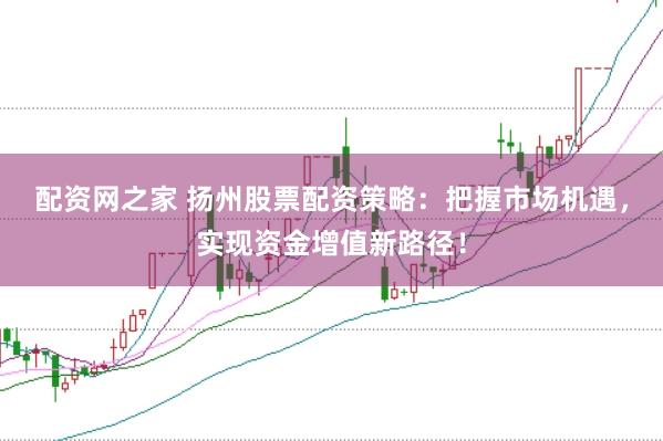 配资网之家 扬州股票配资策略：把握市场机遇，实现资金增值新路径！