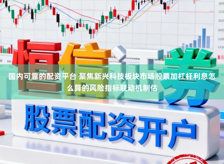 国内可靠的配资平台 聚焦新兴科技板块市场股票加杠杆利息怎么算的风险指标联动机制估