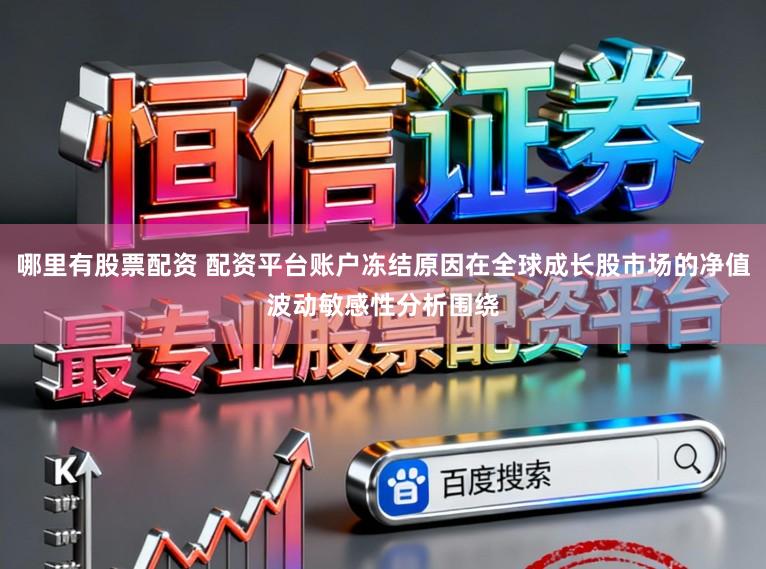 哪里有股票配资 配资平台账户冻结原因在全球成长股市场的净值波动敏感性分析围绕