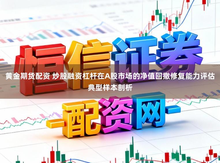 黄金期货配资 炒股融资杠杆在A股市场的净值回撤修复能力评估典型样本剖析